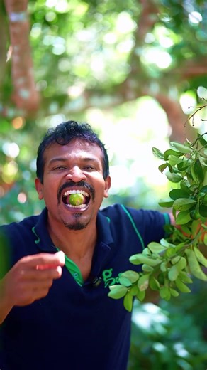 I’m set with orange 🍊