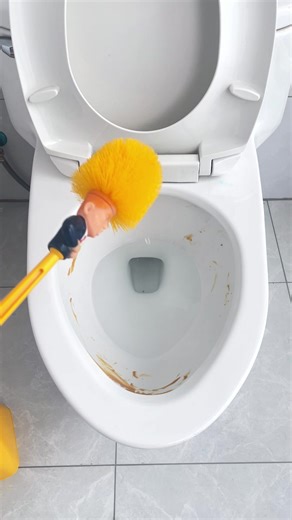 Upgrade Your Bathroom: Choosing the Right Toilet Brush