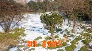 倾情推荐一首DJ歌曲《拥抱你离去》MV，旋律优美，百听不厌