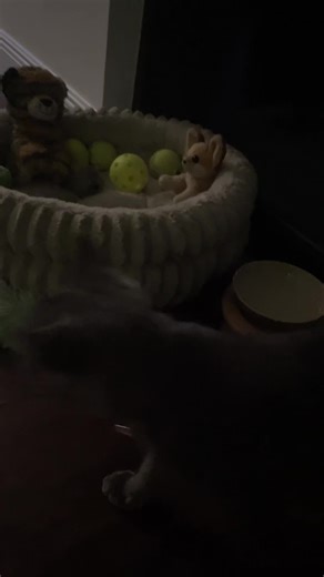 Like Mike (@like.mike813)’s videos with original sound - Like Mike