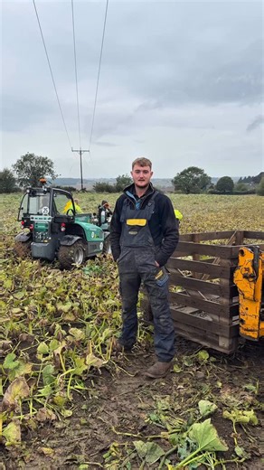 3.1K views · 151 reactions |  Behind the Scenes with the Farm Team –...