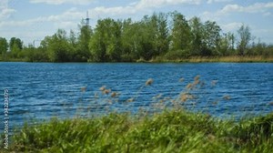 Timelapse of nature landscape, river, lake, pond, bay, movement of water and waves, ripples and smooth surface of the water during the day against a blue sky with summer clouds