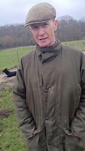 Kent farmer Tobin explains why it's so important to keep our dogs on leads around sheep🐑🐕‍🦺 #BackBritishFarming #Sheep #CountrysideCode | Back British Farming NFU
