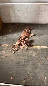 Shop Innovations and IDEAS