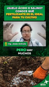 ¿Sabes qué fertilizante necesita tu cultivo? Evita errores y mejora su rendimiento Un manejo responsable de los fertilizantes es clave para mejorar su eficiencia y asegurar una nutrición balanceada en los cultivos. Pero, ¿cómo elegir la fuente correcta? 🤔 📌 Factores clave a considerar: ✔️ Propiedades físicas y químicas del suelo. ✔️ Interacción entre nutrientes. ✔️ Sensibilidad del cultivo al fertilizante. ✔️ Uso de fuentes diversas para una nutrición integral. 💡 Hoy, el Ing. Jesús Arévalo ex