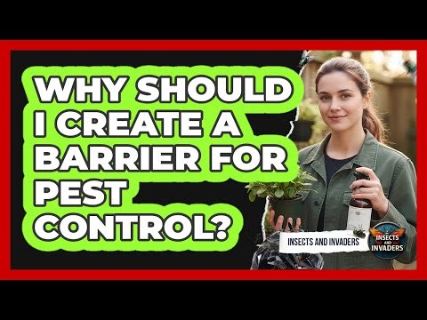 Why Should I Create A Barrier For Pest Control?