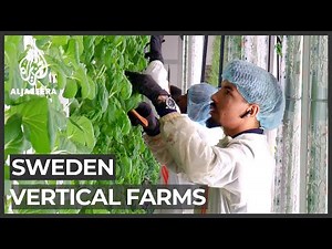 Vertical Farming Solution In Sweden