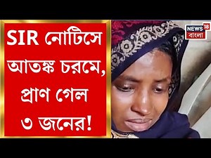 West Bengal SIR News| এসআইআর নোটিসে আতঙ্ক, কী কী অভিযোগ মৃতদের পরিবারের? | Bangla News