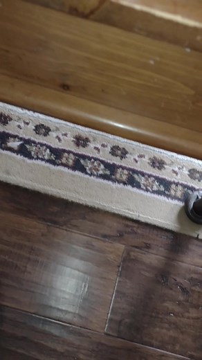 Shungite Buddha's | Eastern Ontario Rock Shop | Facebook