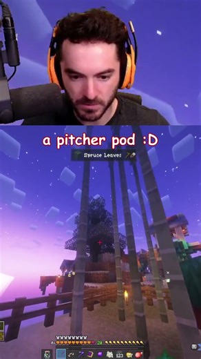 Just collecting some bamboo