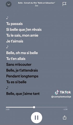 Belle et Sébastien : Une Ode à la Beauté