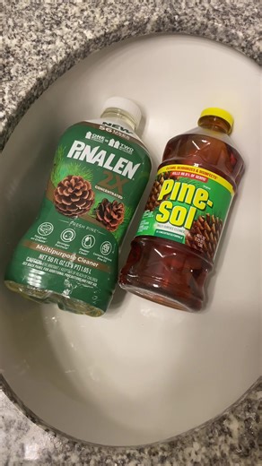 Less Edited Cleaning Demo with Pinalen and Pine-Sol