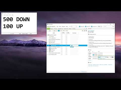 How To Use NetLimiter 4 (English)