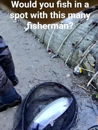 Fishing for Rainbow Trout/Steelhead. Opener 2026. Don't disclose location if you know.