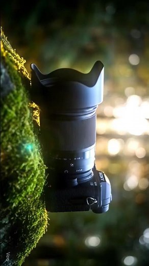 Top 5 Best Cameras for Nature Photography in 2025 📸🌿 | Sony A7R V, Nikon Z8, Canon R5