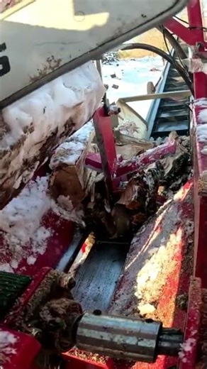 Temu Firewood Processor