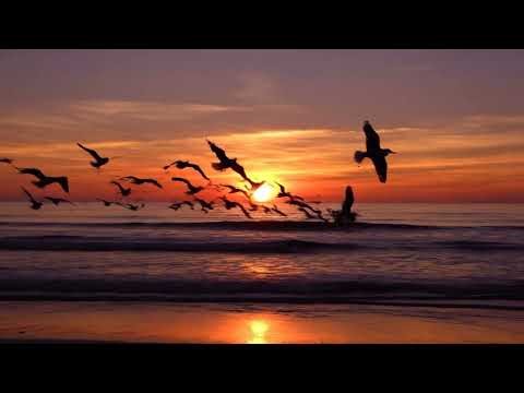 Smooth relaxing music with best sunset views