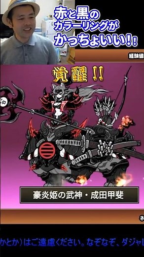 成田甲斐を第３に進化‼豪炎姫の武神・成田甲斐をゲット‼【にゃんこ大戦争】ゲームプレイ生配信846の切り抜き