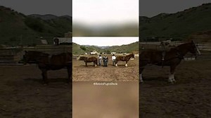 Levi Strauss Durability Test: Horses Rip Apart Jeans