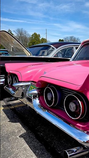 Classic Beauty at the Car Meet: The Ford Thunderbird 🕊️✨