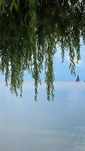 Places to visit in Nida - @guboja_summerhouse a cozy spot in the center of Nida that combines a terrace, a small bar, and accommodation, all with a view of the Curonian Lagoon. It’s a laid-back place to have a drink, spend the night, or just sit for a while and watch the water. #reklama #nida #lithuania #curlyandlithuania | Curly&Lithuania