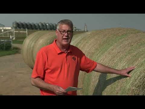 How Much Does it Cost to Bale Hay?