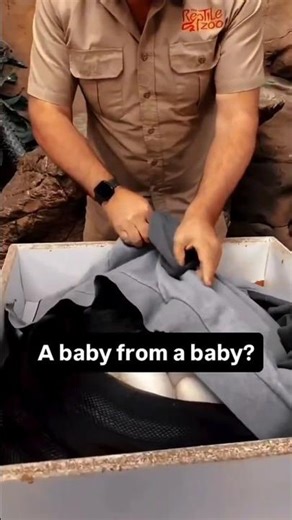 Top 5 Wooden Swing Design Ideas 😍 | Luxury Jhula Designs for Home 🏡🔥