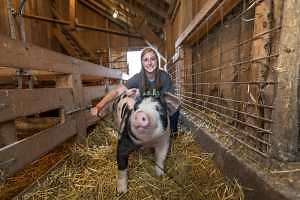 Virtual Education Activities