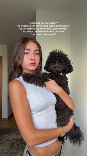 Adopté a Tokyo porque sentí que era un momento de mi vida en el que le podía dar todos los cuidados que necesita y merece, los perros no son un bolso de moda o un accesorio caro, ni algo “aesthetic” ni para tenerlo porque queda bien con tu outfit, son seres vivos que requieren de mucho cariño y atención, te juro que la cantidad de tonterías que escucho a diario dan para escribir un libro