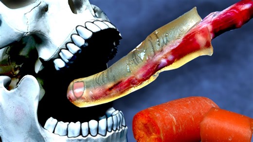 Can you bite off your finger like a carrot?