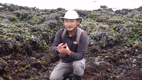 SMOKED UNI(Sea Urchin) I Was Not Expecting That | Coastal Foraging