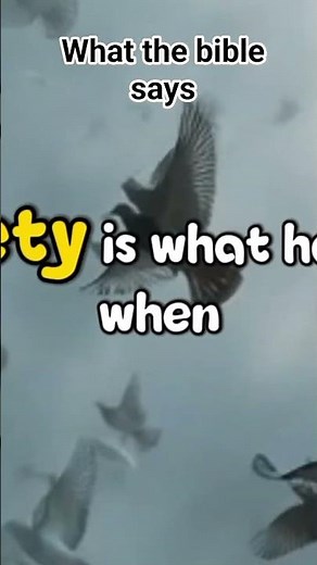 what the bible says about anxiety #prayerandpurpose #prayer #prayday #motivation