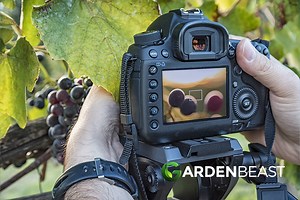 Plant Photography Tips: How to Take Beautiful Photographs