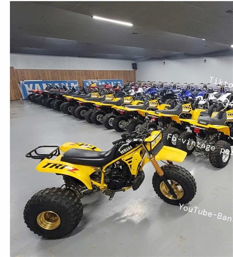 Baby steps to BANSHEE! The NICEST 85 Yamaha Tri-Z 250 I had ever found. Even had Yamahas version of “Honda line”, 6 pack rack. Hard to beat black and yellow! #3wheeler #offroad #collection#snapontools #goviral