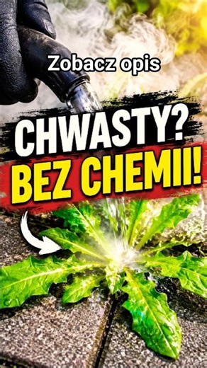 🌿 How to get rid of weeds WITHOUT CHEMICALS?