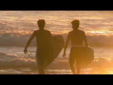 Welcome to south west 🌞