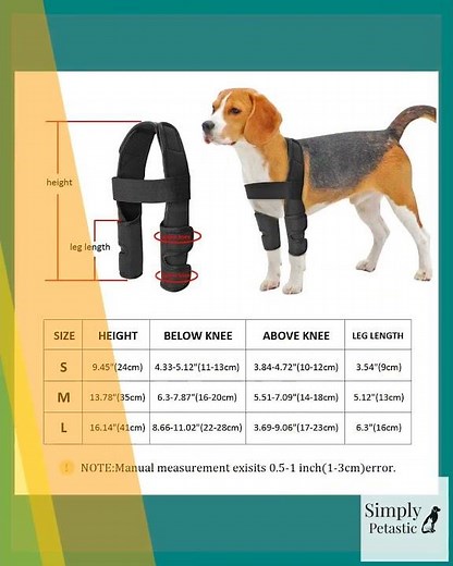 Dog Front leg Brace Helps With Pain And Discomfort