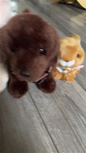 Essa intro! #essa #plushies #dogs #douglas #cringe
