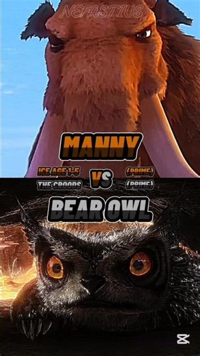 Manny vs Bear Owl | Anatomy