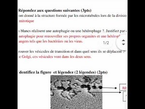 examen de biologie cellulaire 🧬 L1 s1 🦠🦠