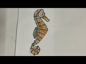 How to Draw a Cute Seahorse Easy Step-by-Step Tutorial!