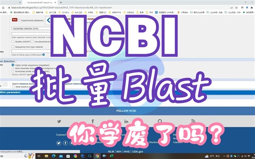 NCBI批量进行blast分析，解放你的双手！