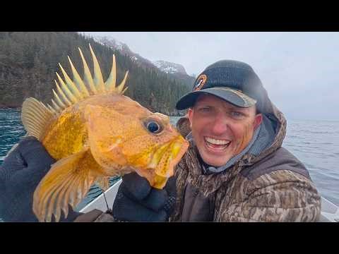 Fishing in Alaska on a Rental Boat! {Catch Clean Cook} Miller's Landing, Seward, Ak