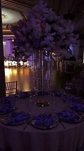 88 reactions · 13 shares |  Allison & Ashley  ❤️ Twins quinceañera July 12th 2025 | Dane Events | Facebook