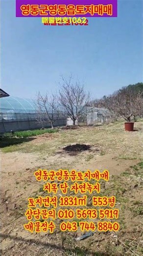 영동군전원주택매매, 영동군토지매매,영동군임야매매,영동군단독주택매매,영동군시골집매매,보은토지매매,옥천토지매매,급매물