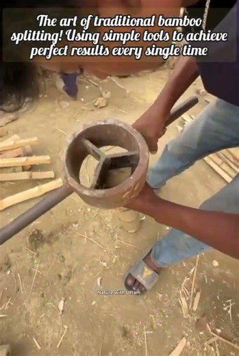 Fastest Manual Method For Splitting Large Bamboo Poles