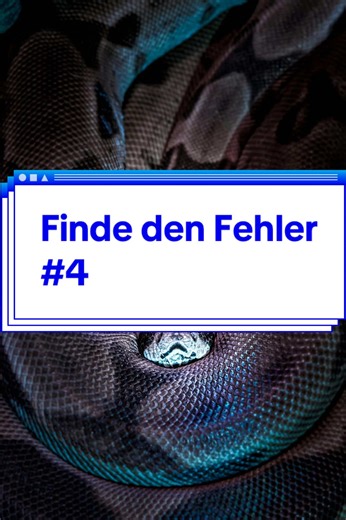 #pythonbasics #pythonlernen #python #codetok #rätsel