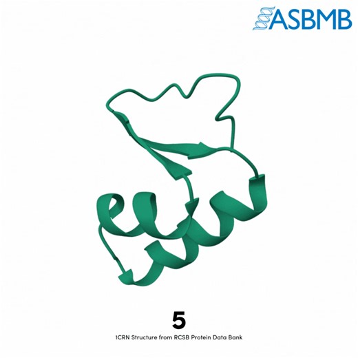 13 reactions | A NYE countdown, rendered in 3D! ➡️ Learn more about cutting-edge protein research at #ASBMB26. https://asbmb.org/annual-meeting/program/sessions-speakers#communication  Structures from RCSB Protein Data Bank #Biochemistry #MolecularBiology #MakeItPossible | American Society for Biochemistry and Molecular Biology | Facebook