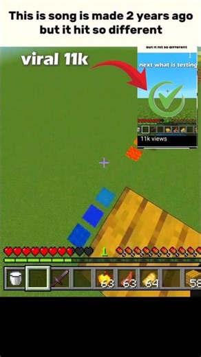 minecraft real vs fake block test 😍