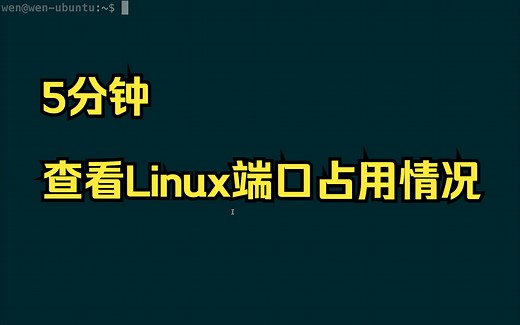 5分钟学会查看Linux端口占用情况
